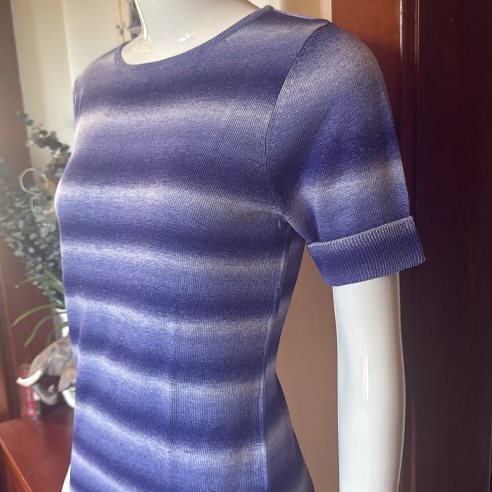 NWT northern reflections size small Striped Blue and White Short Sleeve Sweater